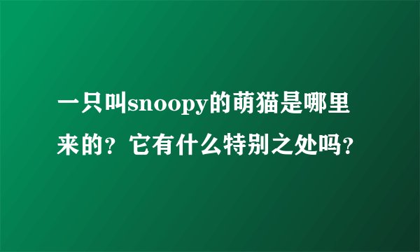一只叫snoopy的萌猫是哪里来的？它有什么特别之处吗？