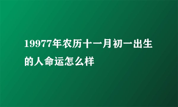 19977年农历十一月初一出生的人命运怎么样