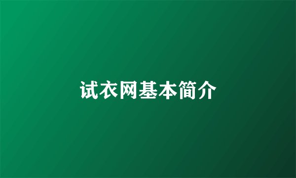 试衣网基本简介