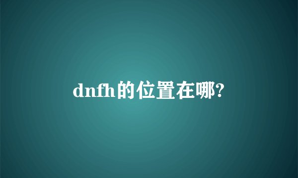 dnfh的位置在哪?