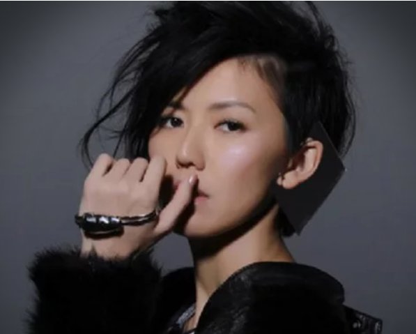 谁有这个 孙燕姿演唱会，高清百度网盘的链接有没有呀！想要！