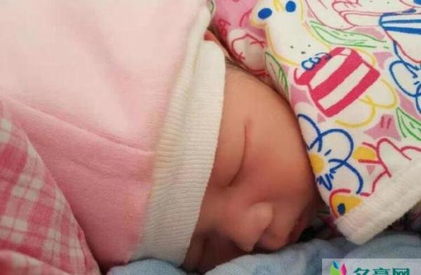 岳云鹏升格当爷爷 网友：人在家中坐突然升辈份