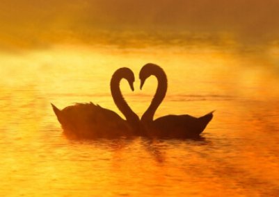 你会相信爱情吗???