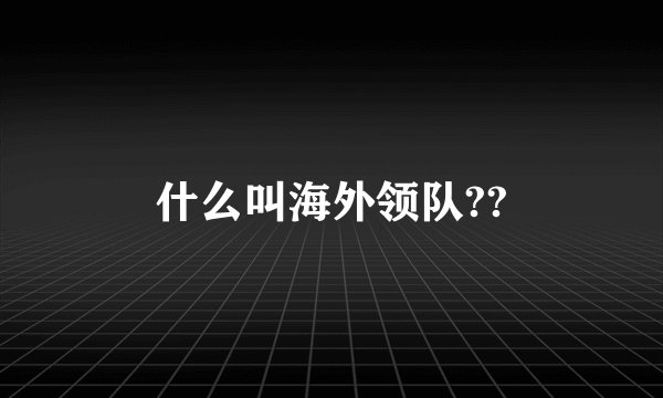 什么叫海外领队??