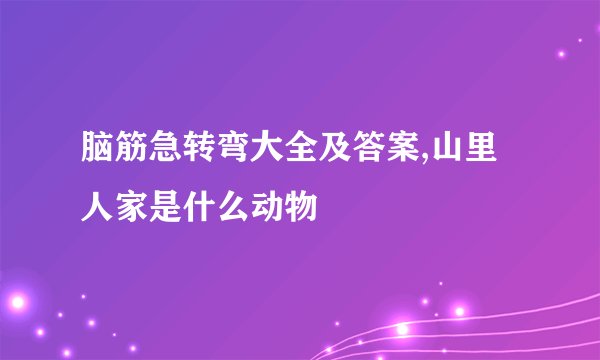 脑筋急转弯大全及答案,山里人家是什么动物