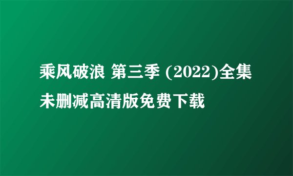 乘风破浪 第三季 (2022)全集未删减高清版免费下载