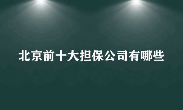 北京前十大担保公司有哪些