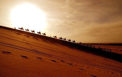 聚散终有时 再见亦有期什么意思