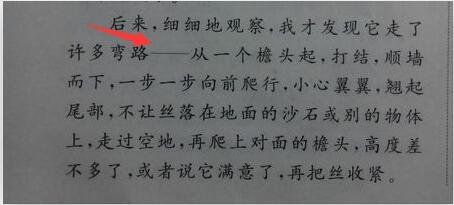 语文一横线是什么符号