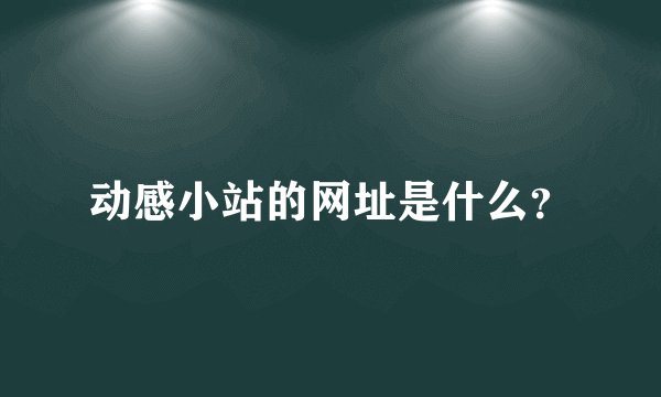 动感小站的网址是什么？