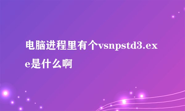 电脑进程里有个vsnpstd3.exe是什么啊