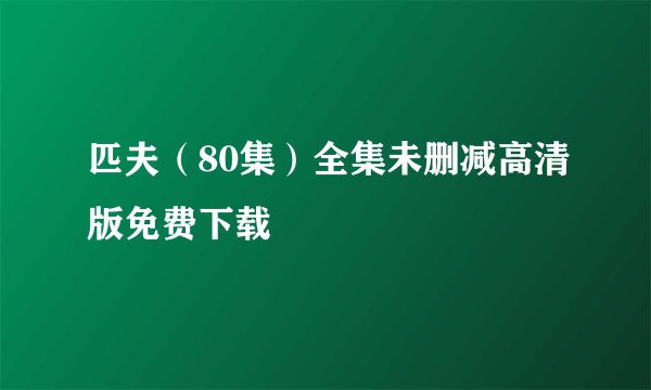 匹夫（80集）全集未删减高清版免费下载