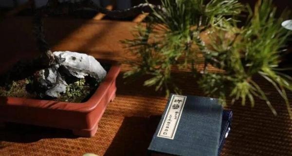 若有所悟的意思是什么 若有所悟指的是什么动物