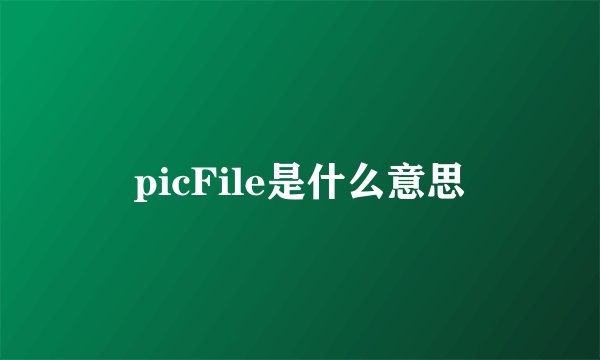 picFile是什么意思