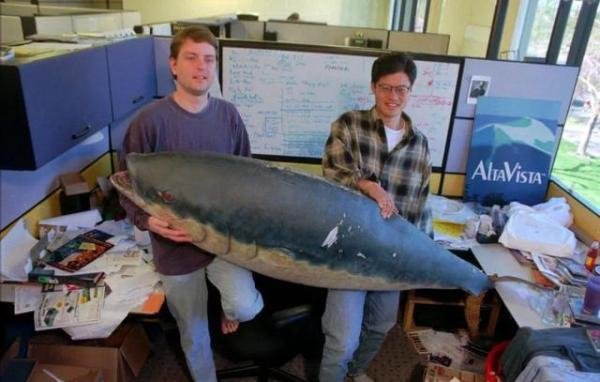 转让阿里巴巴全部股份，雅虎，彻底要说再见了！