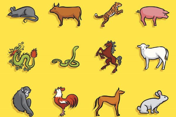 收回成命猜生肖