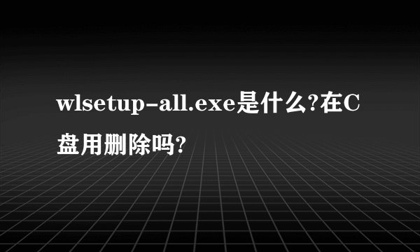 wlsetup-all.exe是什么?在C盘用删除吗?