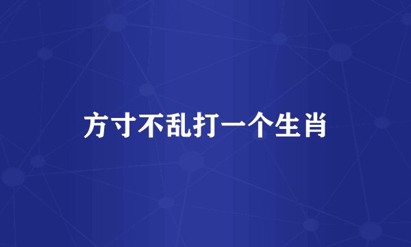 方寸不乱打一个生肖