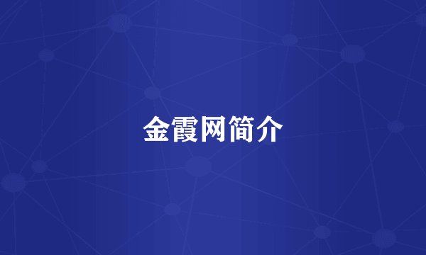 金霞网简介