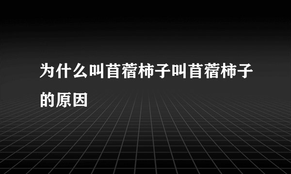 为什么叫苜蓿柿子叫苜蓿柿子的原因