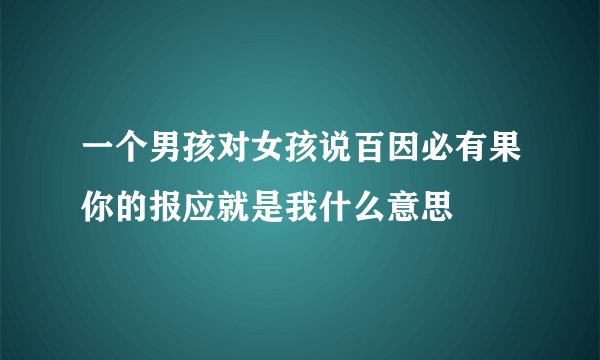 一个男孩对女孩说百因必有果你的报应就是我什么意思