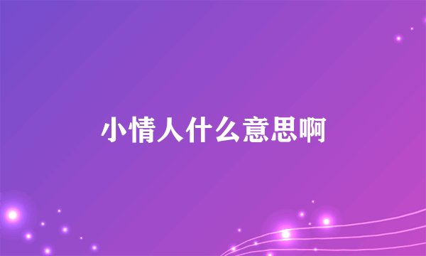 小情人什么意思啊
