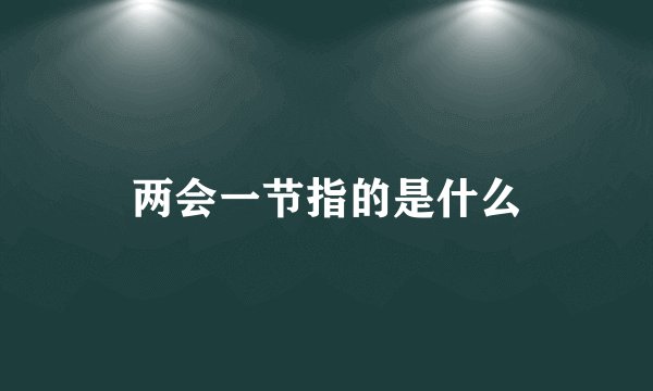 两会一节指的是什么