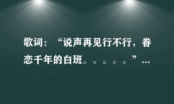 歌词：“说声再见行不行，眷恋千年的白班。。。。。”好像是一个电视矩里面的