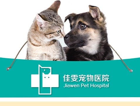 宁波有哪些较专业的宠物医院？