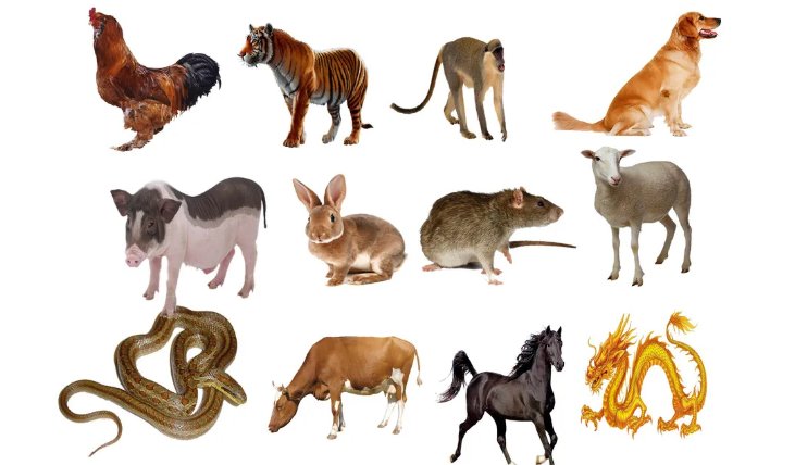 属相年份对照表