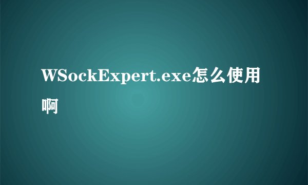 WSockExpert.exe怎么使用啊