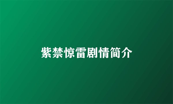 紫禁惊雷剧情简介