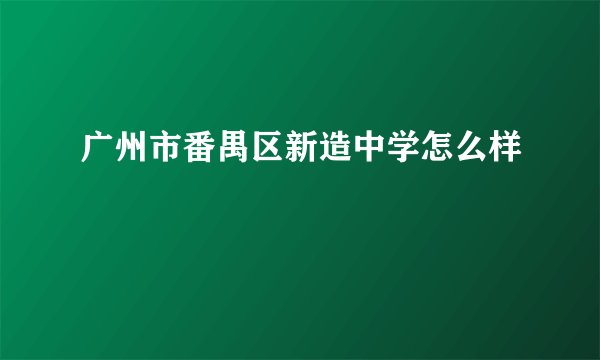 广州市番禺区新造中学怎么样