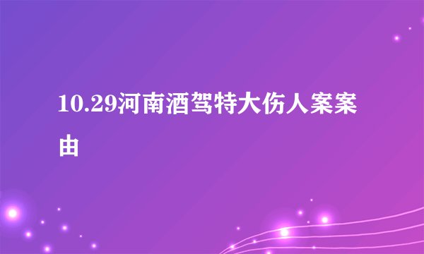 10.29河南酒驾特大伤人案案由
