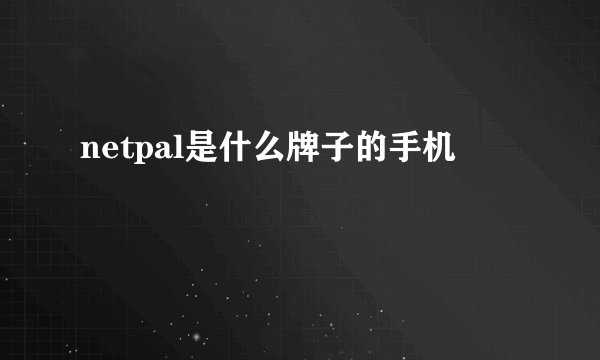 netpal是什么牌子的手机