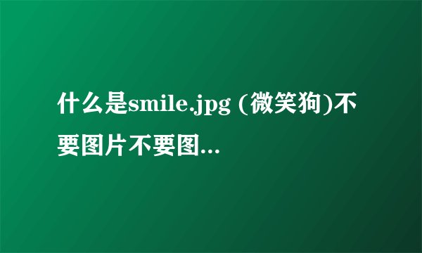 什么是smile.jpg (微笑狗)不要图片不要图片不要图片