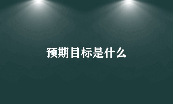 预期目标是什么