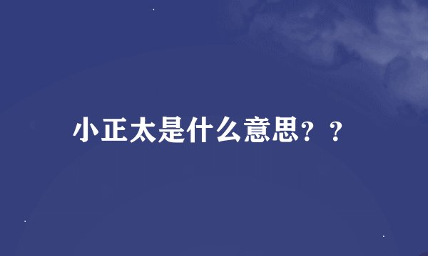小正太是什么意思？？
