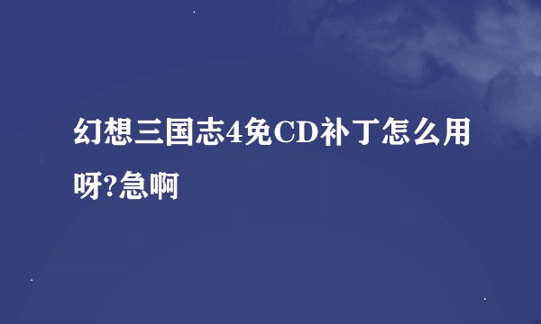 幻想三国志4免CD补丁怎么用呀?急啊