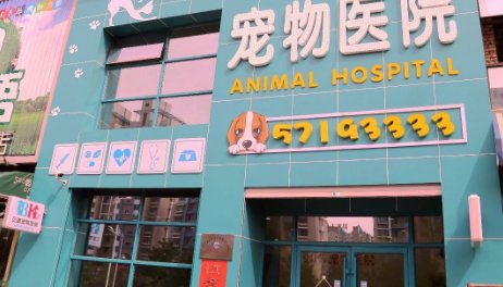 长春值得推荐的宠物医院都有哪些？