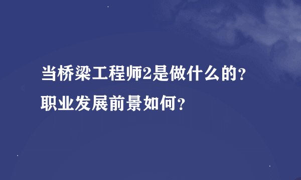 当桥梁工程师2是做什么的？职业发展前景如何？