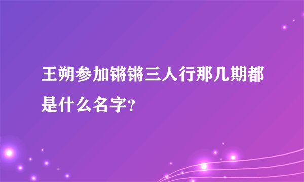王朔参加锵锵三人行那几期都是什么名字？