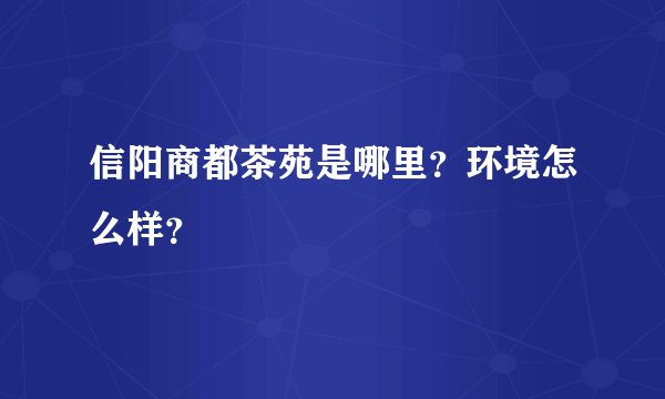 信阳商都茶苑是哪里？环境怎么样？
