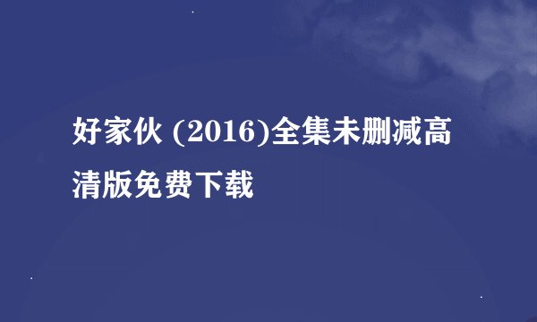 好家伙 (2016)全集未删减高清版免费下载