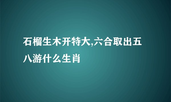 石榴生木开特大,六合取出五八游什么生肖