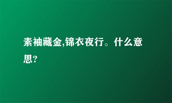 素袖藏金,锦衣夜行。什么意思?