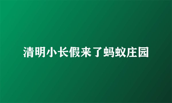 清明小长假来了蚂蚁庄园