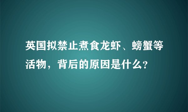 英国拟禁止煮食龙虾、螃蟹等活物，背后的原因是什么？