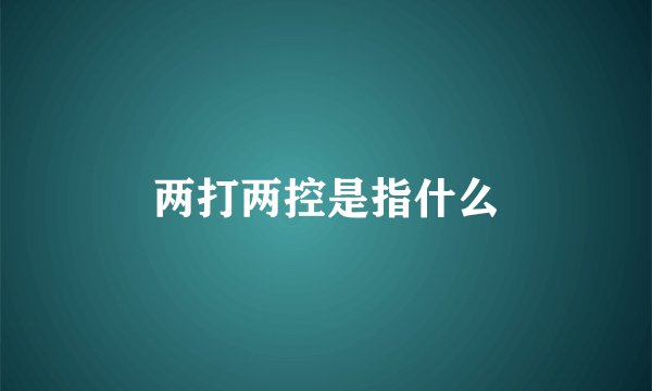 两打两控是指什么