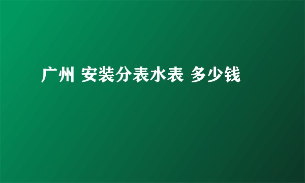 广州 安装分表水表 多少钱
